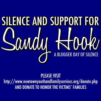 sandyhooksupport