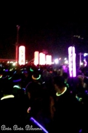 Brie Brie Blooms, The Neon Run 2013 #theneonrun (6)